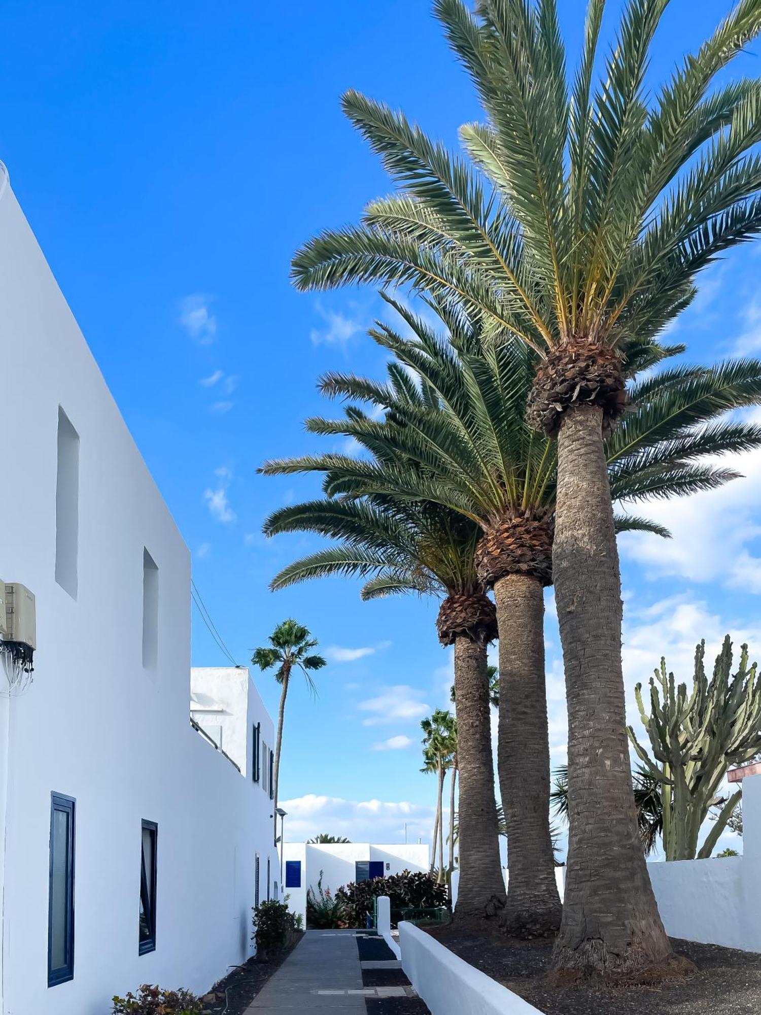 Barqueros Beach By Best Holidays Fuerteventura คอร์ราเลโฮ ภายนอก รูปภาพ
